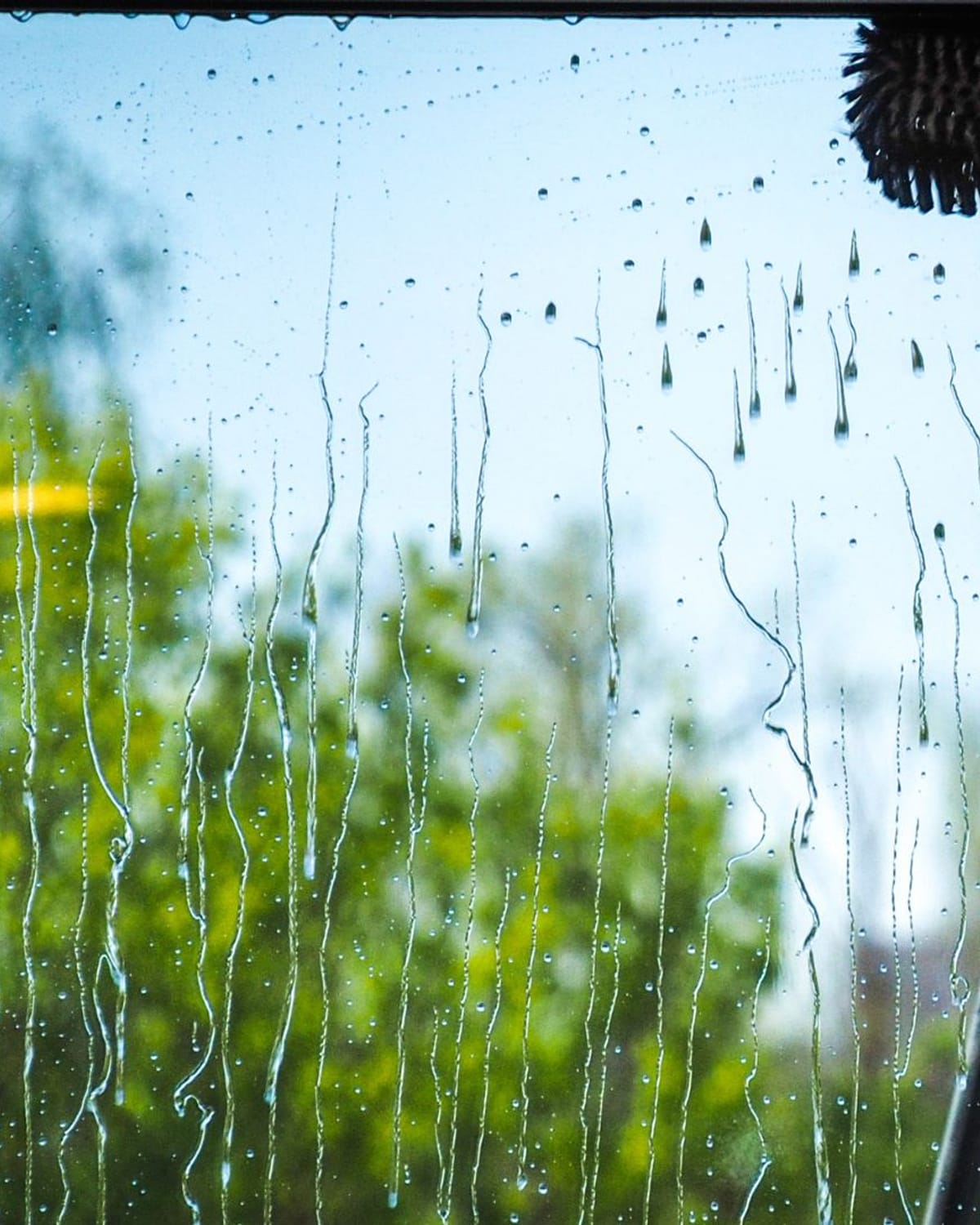 Dust and water spots coating exterior window glass
