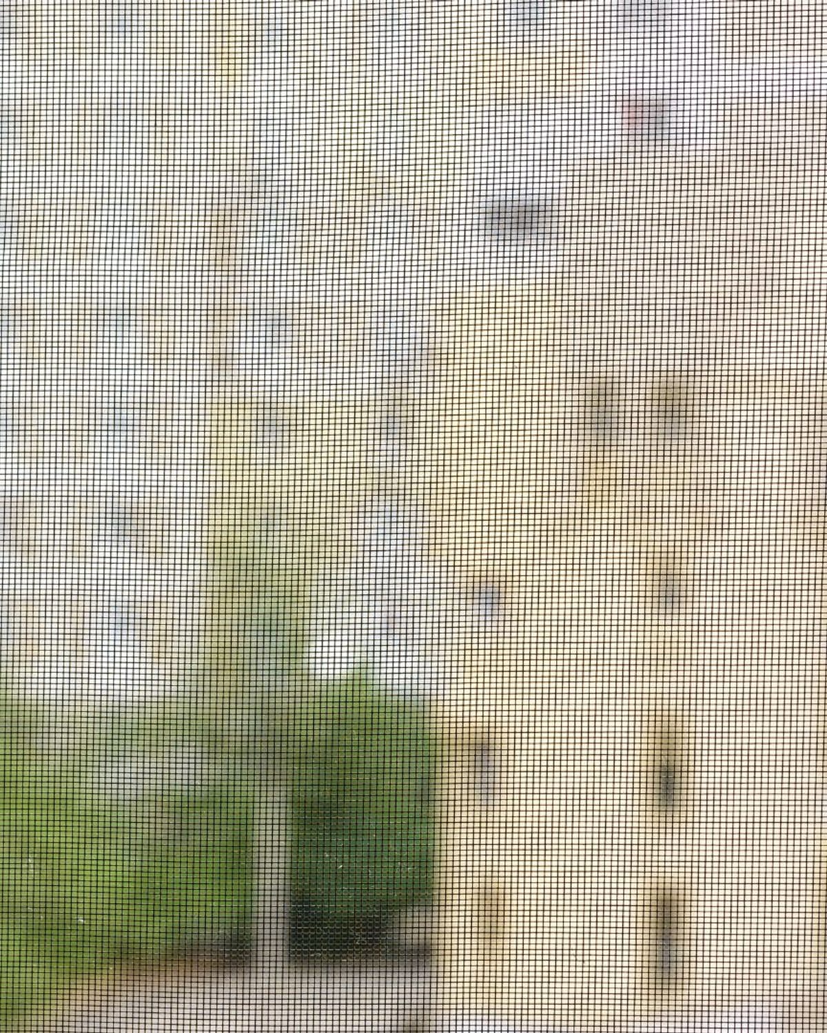 Aging window screen mesh beside a white window handle, overdue for replacement