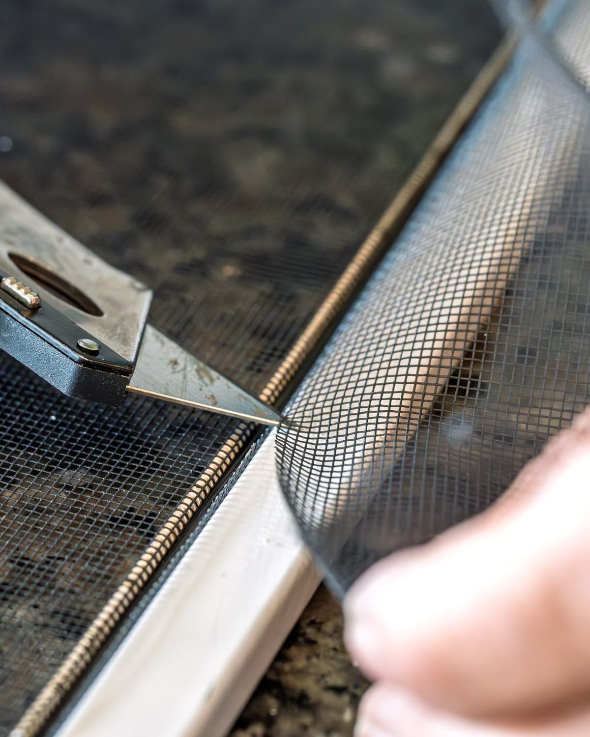 Trimming the excess mesh off a freshly re-screened window frame